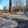 Dr. Henry Holmes Hunter Cemetery
