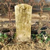 Dr. Henry Holmes Hunter Cemetery